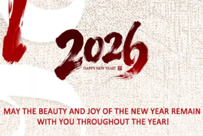 Spring Festival Holiday Notice - Solid Joints Team